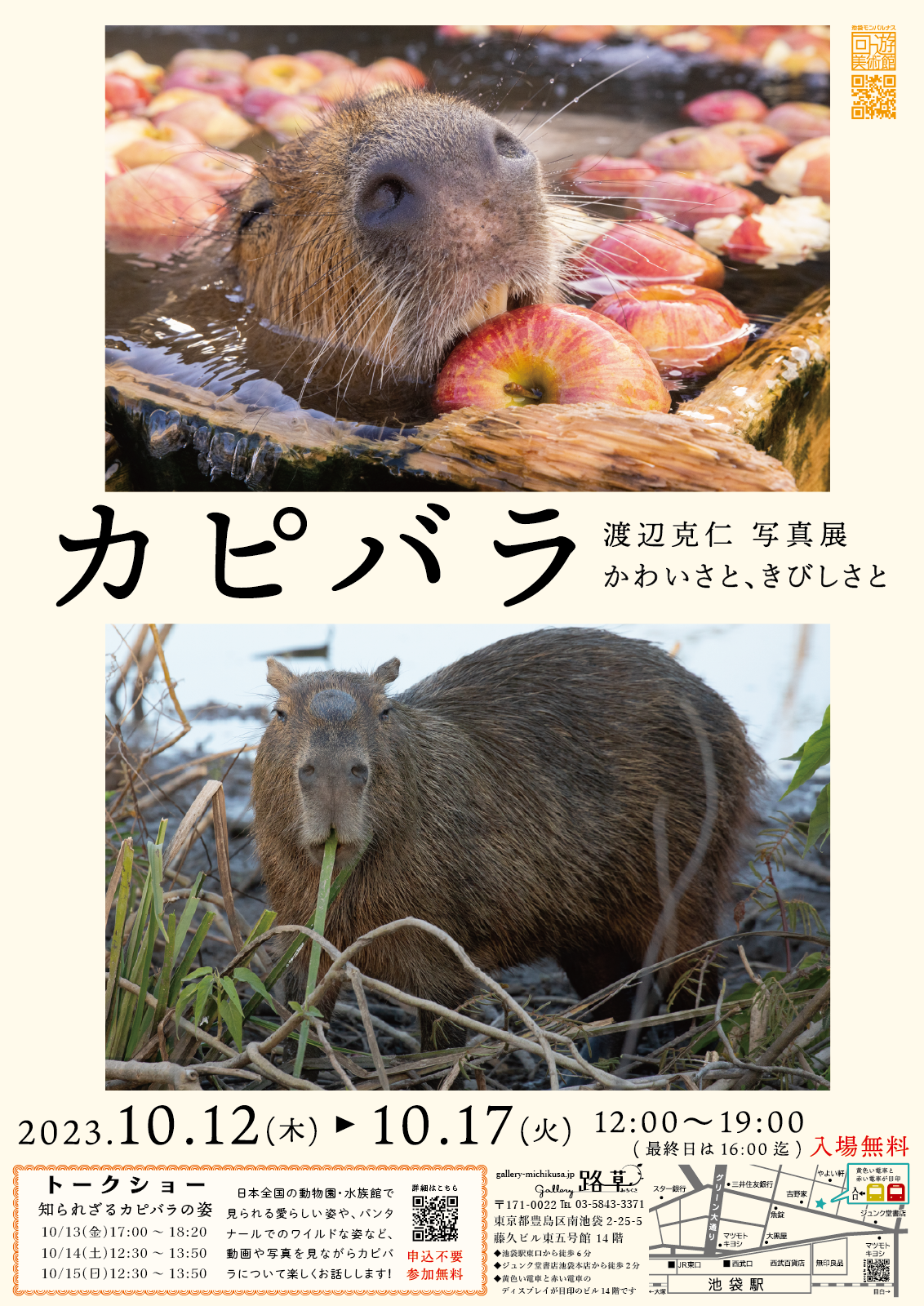 カピバラ 渡辺克仁写真展 -かわいさと、きびしさと- | midcoro